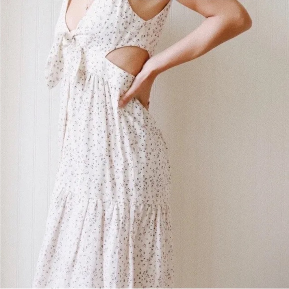 Anthropologie McGuire Palizzi Rose Garden dress - Picture 7 of 11